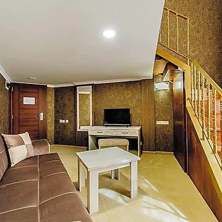 Alisa Hotel *